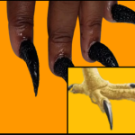 Claw Nails