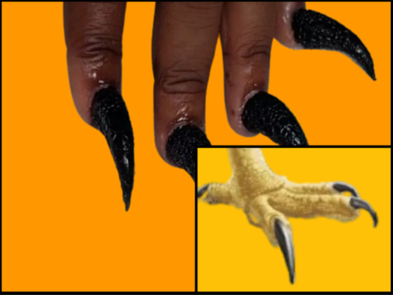 Claw Nails