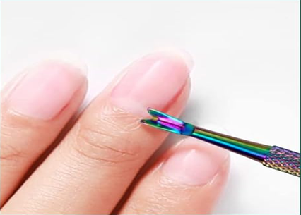 What is a Cuticle?