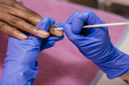What is a Cuticle?