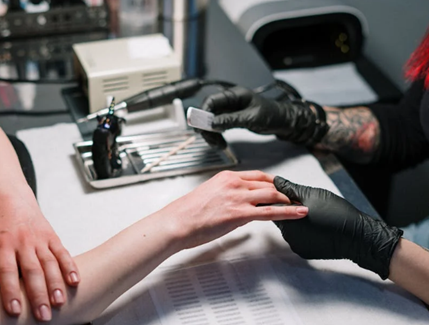 What is a Cuticle?