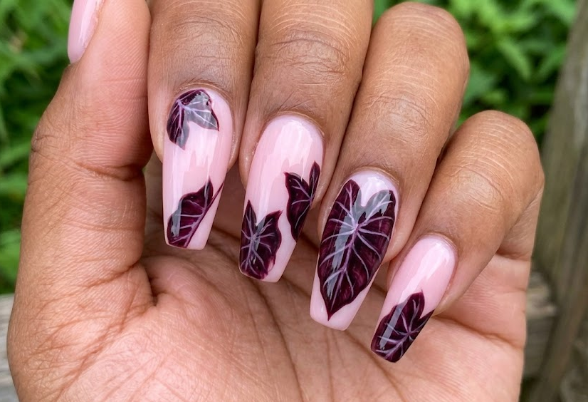 Black Magic Elephant Ear – Coffin shaped nails: Light pink base, burgundy leafs on ring accent, glossy dramatic summer nails.