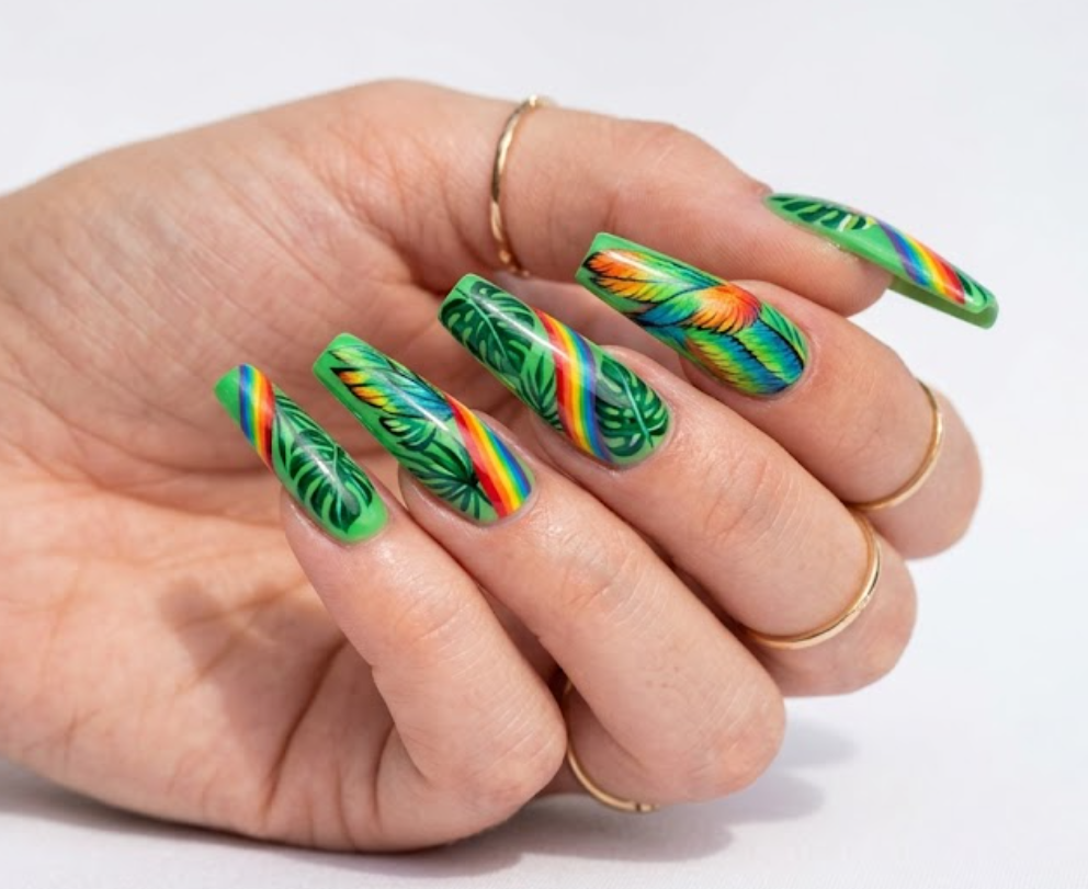 In this picture, long coffin-shaped nails display colorful parrot feathers with tropical leaf patterns.